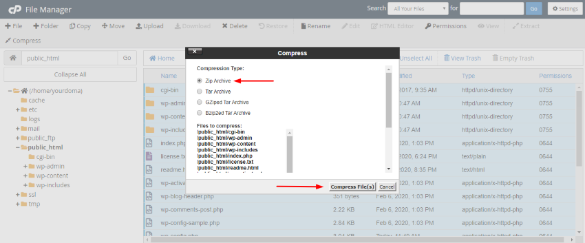 Review Compressed Files